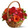 Red Flower basket